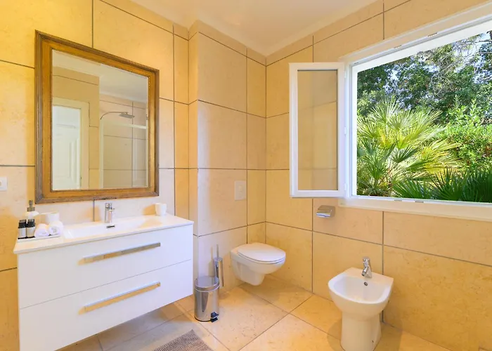 Raphael レ・ズィサンブル